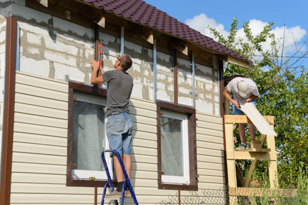 Best Stone Veneer Siding  in Buffalo, MN