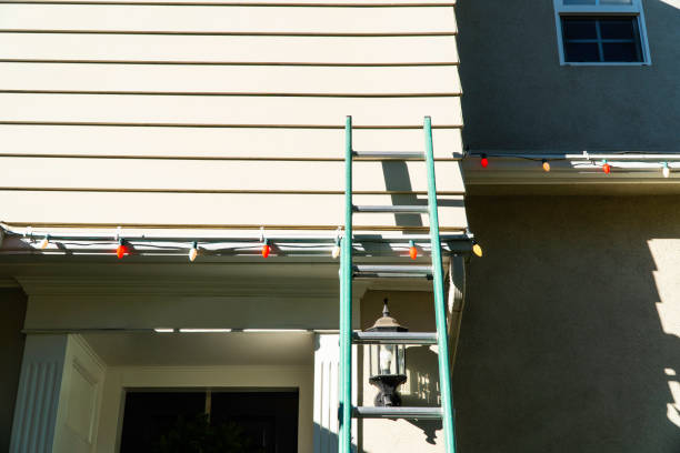 Best Custom Trim and Detailing for Siding  in Buffalo, MN