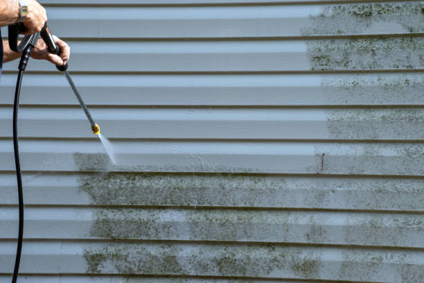 Best Siding Maintenance  in Buffalo, MN