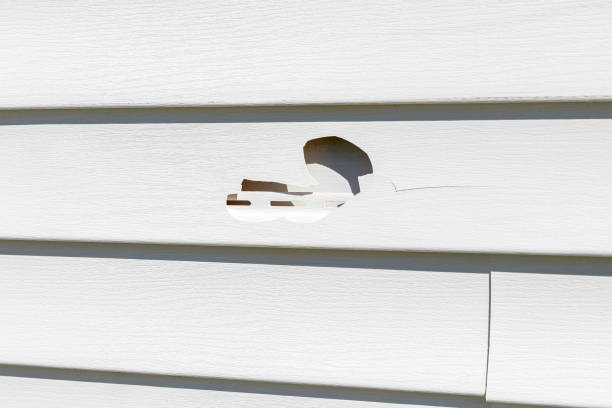 Best Siding Removal and Disposal  in Buffalo, MN