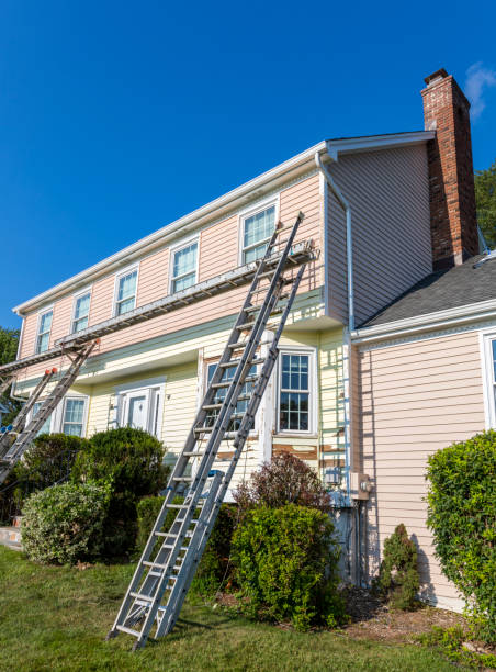 Best Vinyl Siding Installation  in Buffalo, MN