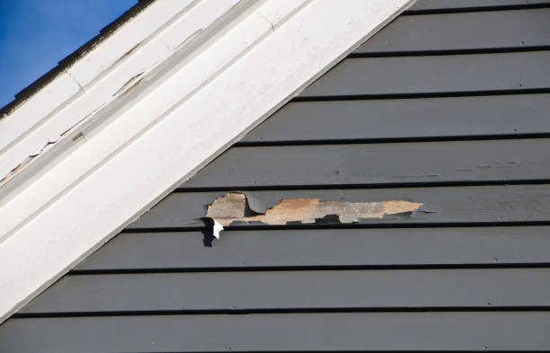 Best Siding Repair  in Buffalo, MN