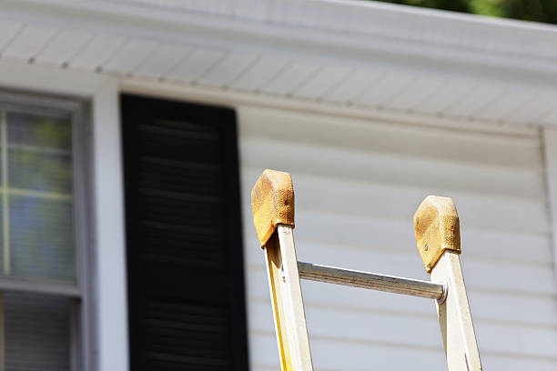 Best Aluminum Siding Installation  in Buffalo, MN