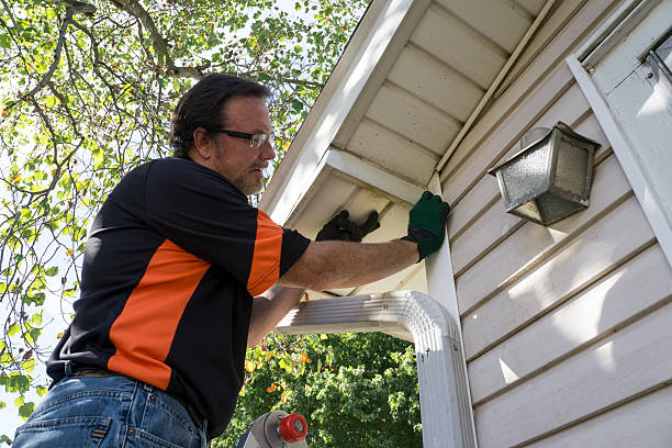 Best Historical Building Siding Restoration  in Buffalo, MN